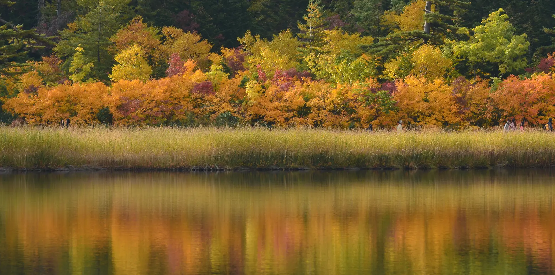 八幡平の紅葉 見頃9月中旬～10月下旬/十和田湖の紅葉 見頃10月中旬～11月上旬 