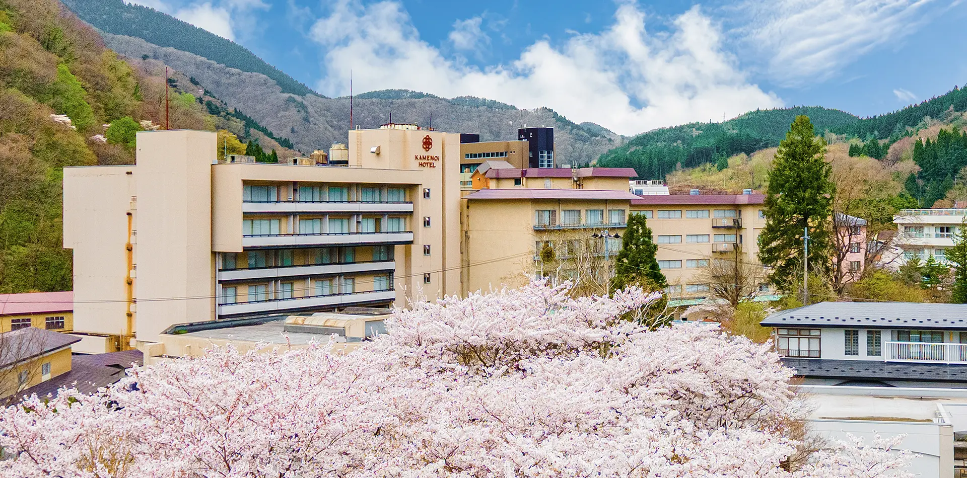 今年も湯瀬渓谷に春が訪れる