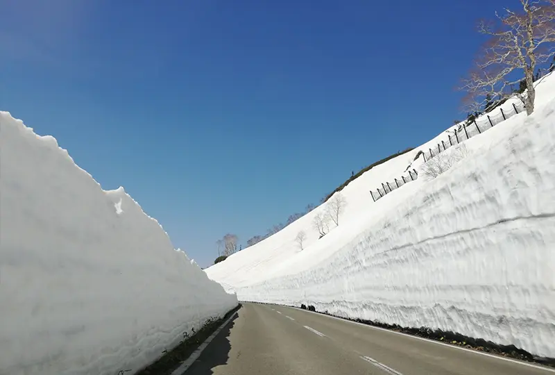 八幡平アスピーテライン