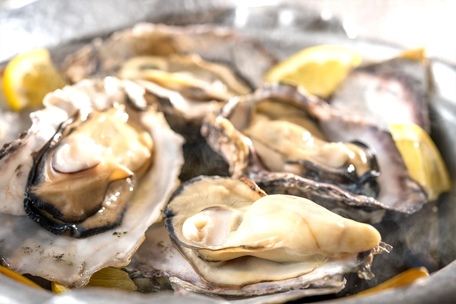 【特別会席】7月19日~11月30日