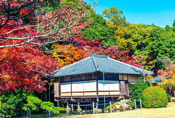 龍野公園紅葉谷