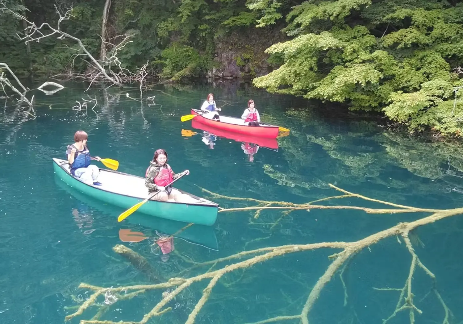 十和田湖ボートツアー体験