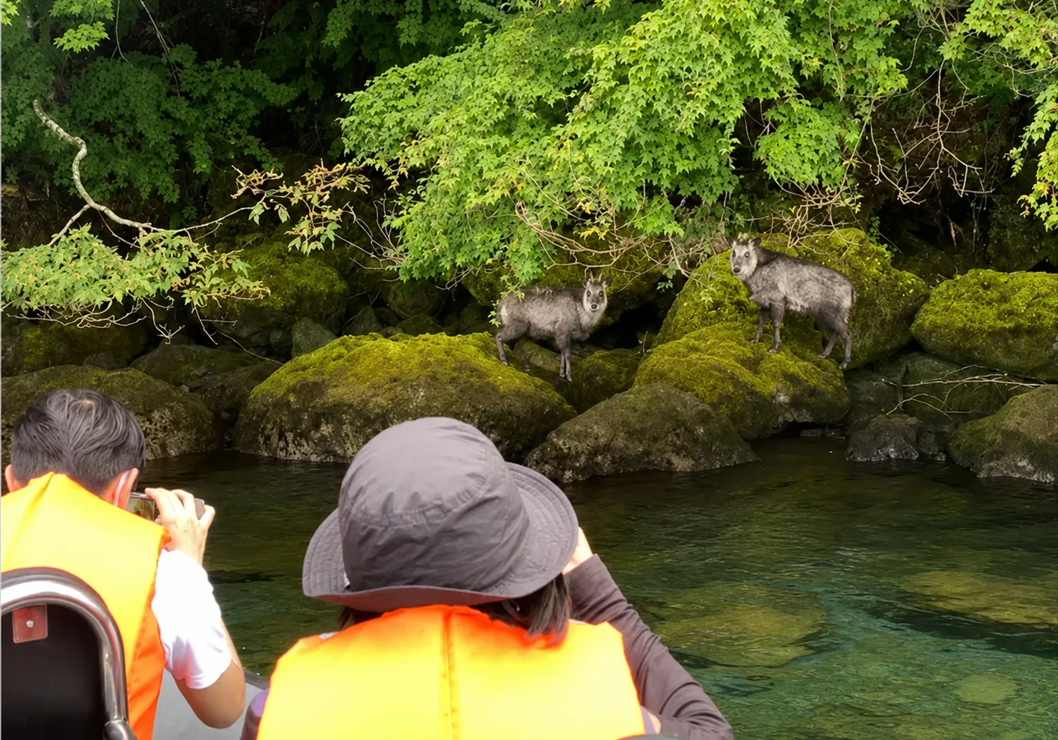 十和田湖ボートツアー体験