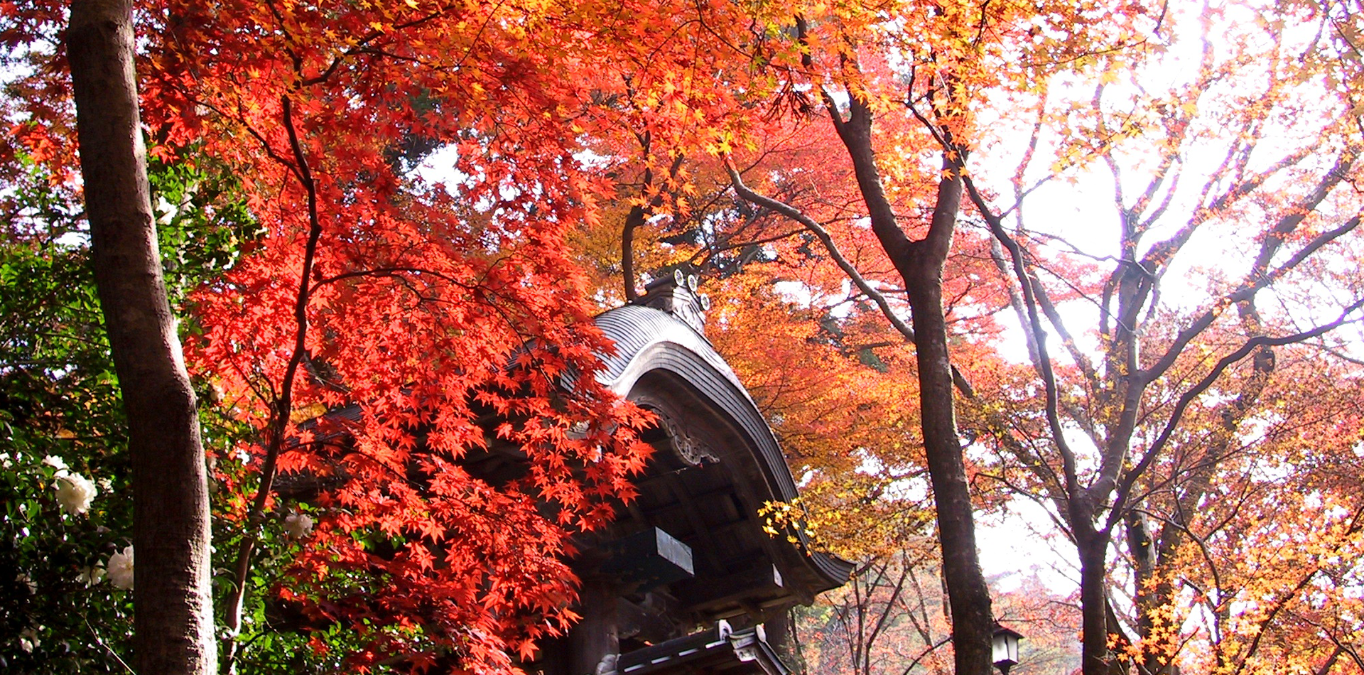 瑞宝寺公園