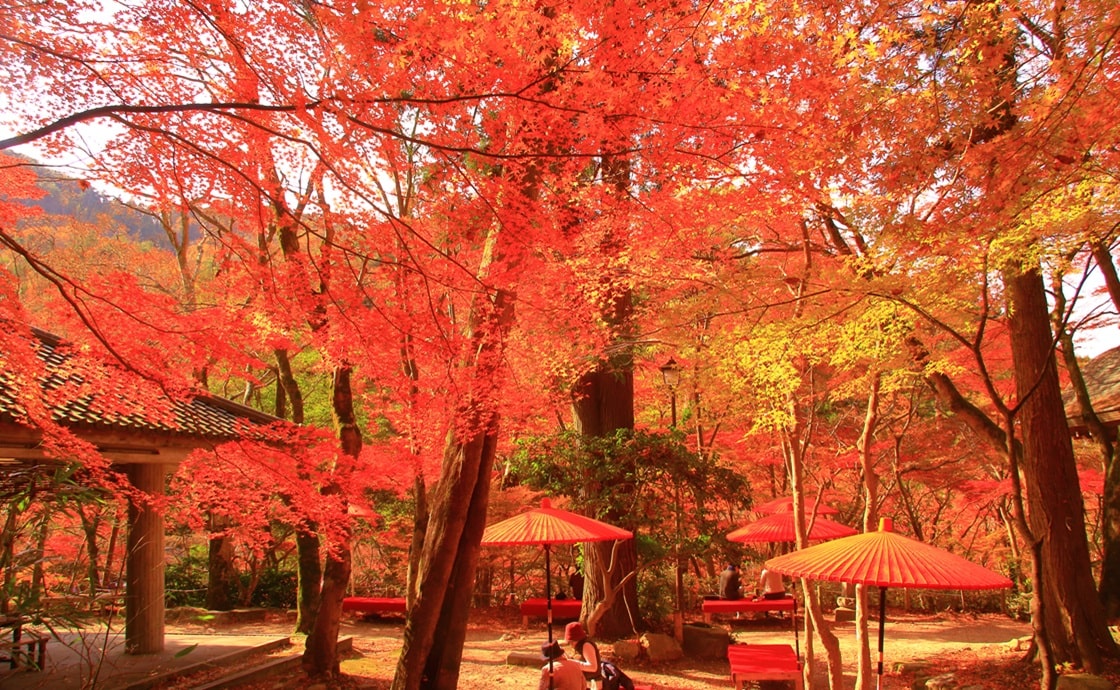 瑞宝寺公園