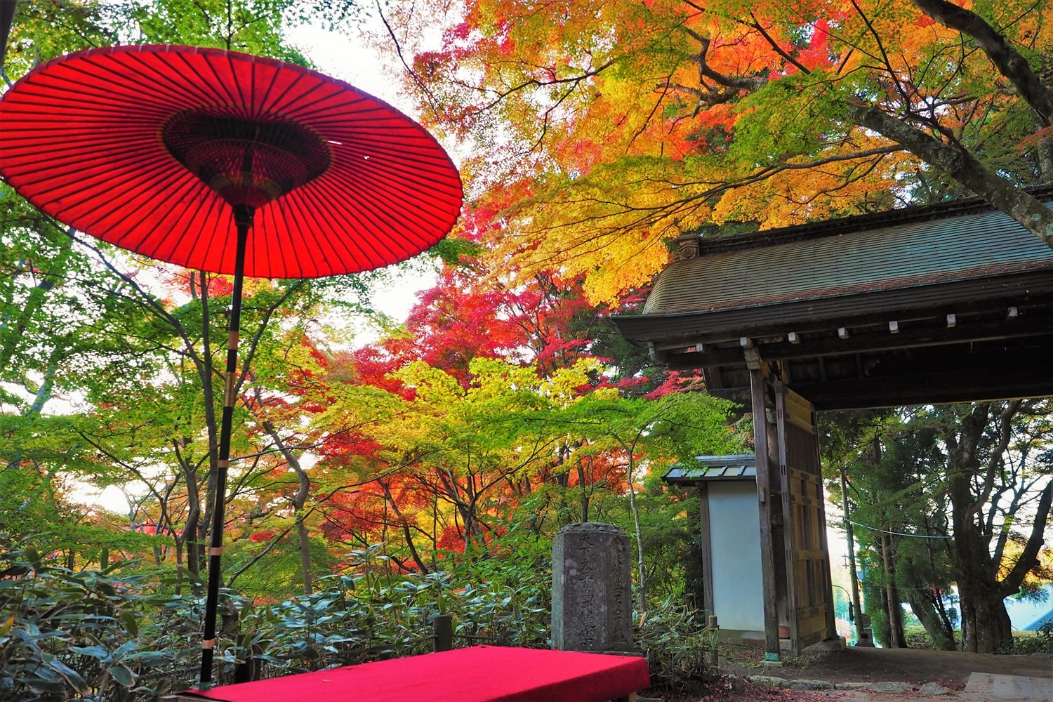 瑞宝寺公園