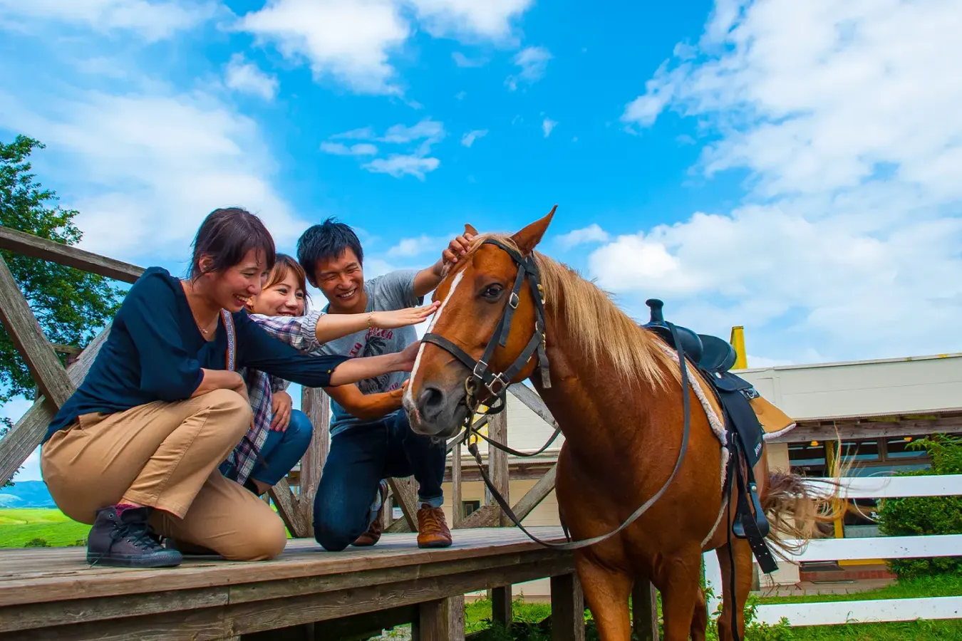 Experience more of Aso 's wilderness