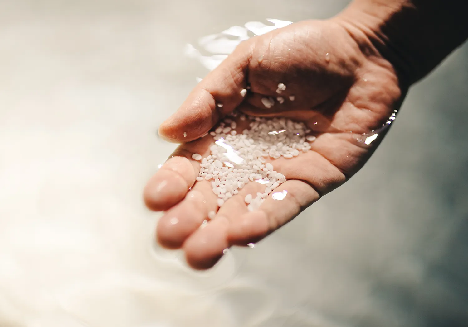 日本酒を飲みたくなる話