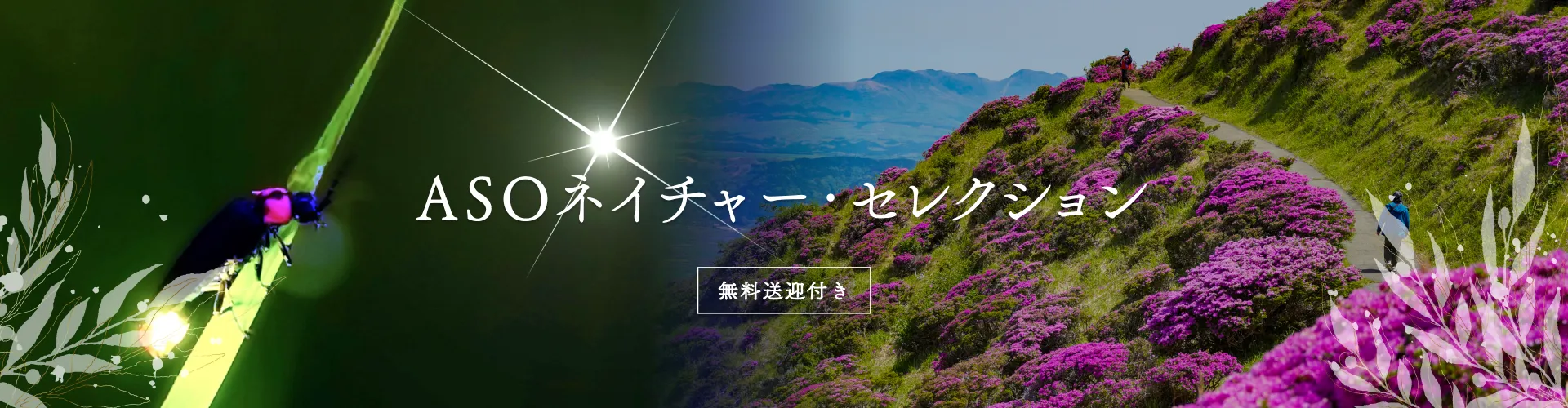 阿蘇ネイチャーセレクション