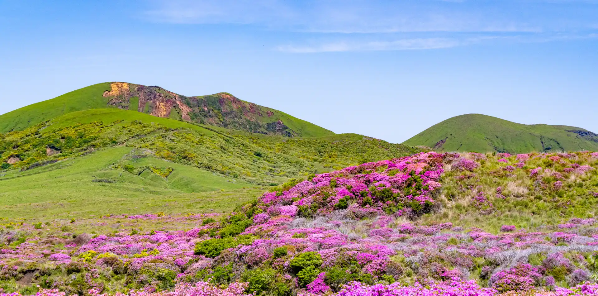 ミヤマキリシマの絶景