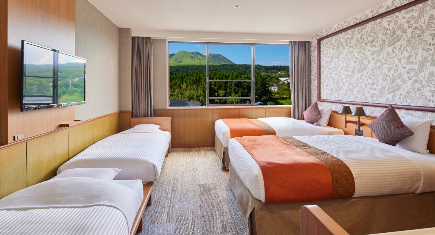 サウスウイング リニューアルスタンダードツイン