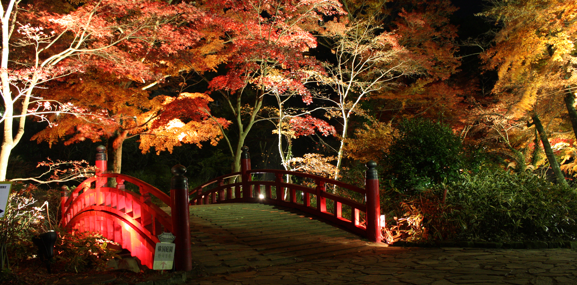 11月末から12月頭にかけて見頃を迎える熱海梅園の紅葉