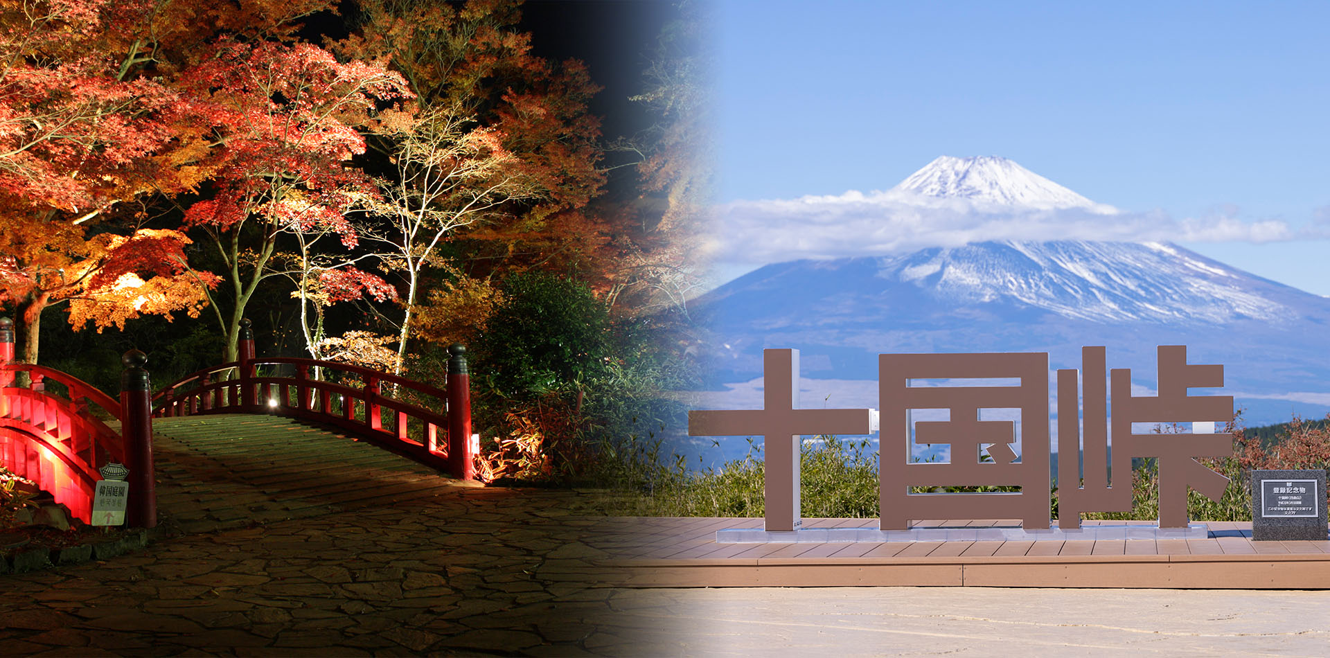 日本で最も遅い紅葉秋の十国峠は波うつススキの穂がなびく360度パノラマ絶景