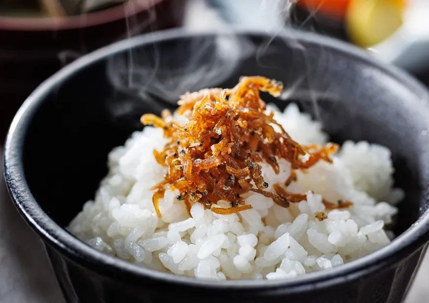 【季節の会席】旬魚をどうぞ！料理長こだわりの会席