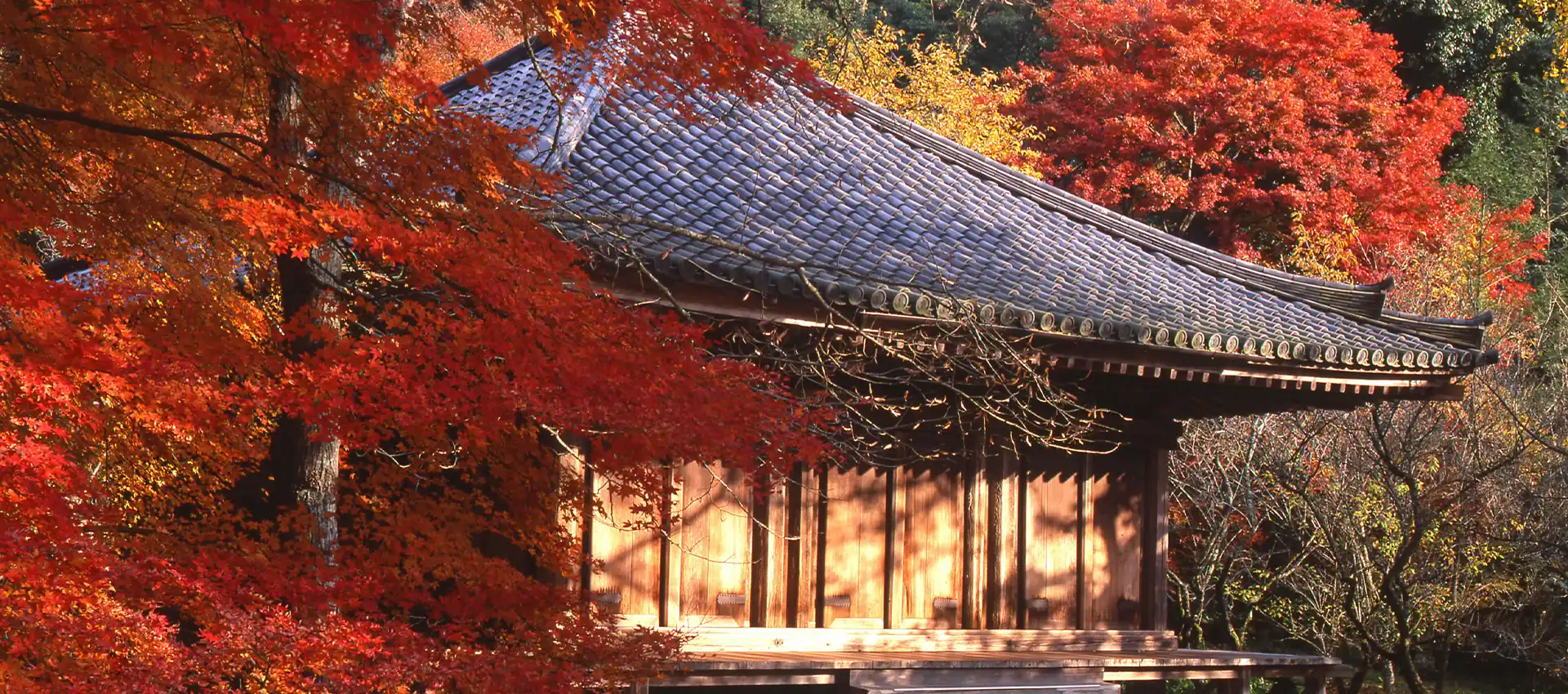 国宝富貴寺