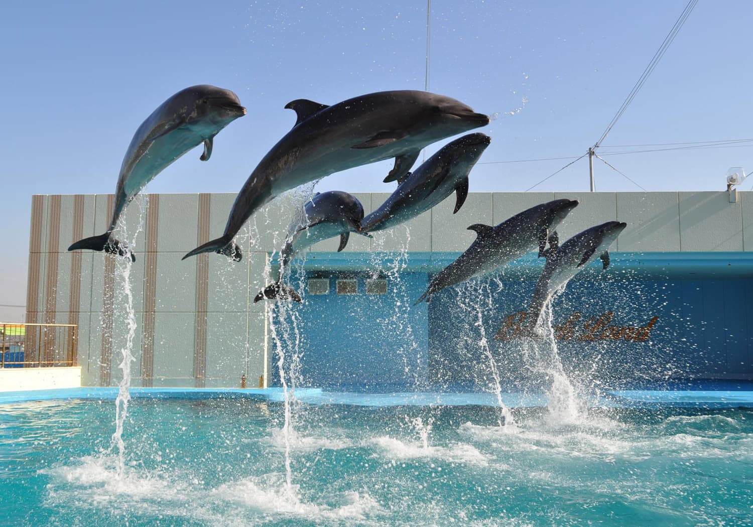 ふれあい体験型水族館とおもちゃの遊園地　南知多ビーチランド