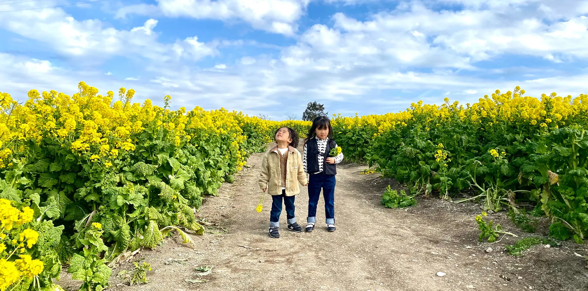 花ひろば　入園券付きプラン　好評発売中　(当ホテルから車で約15分)