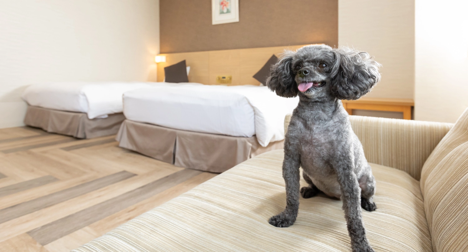 ペット対応ツイン（ソファーベッド付）