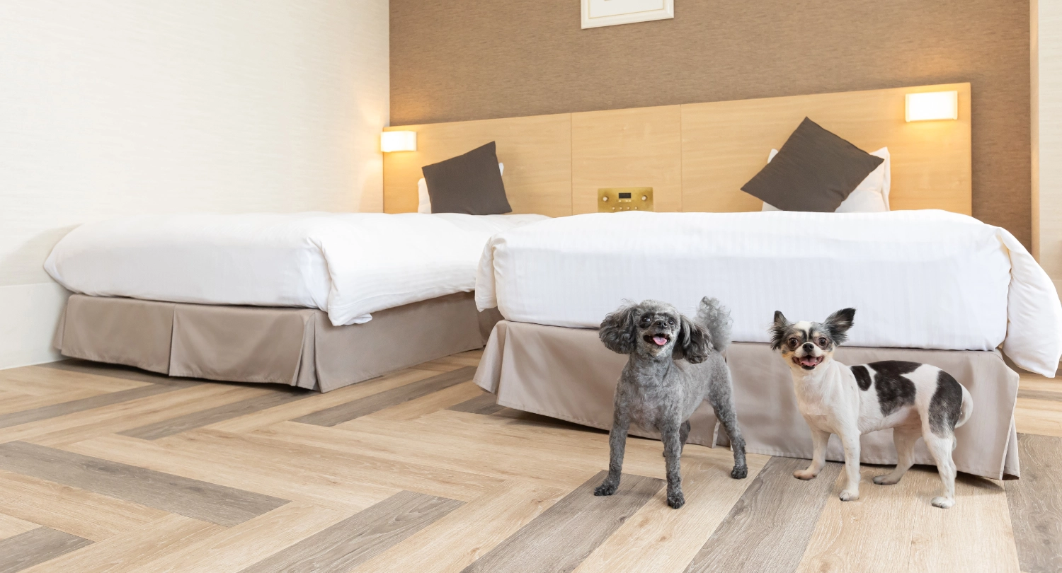 ペット対応ツイン（ソファーベッド付）