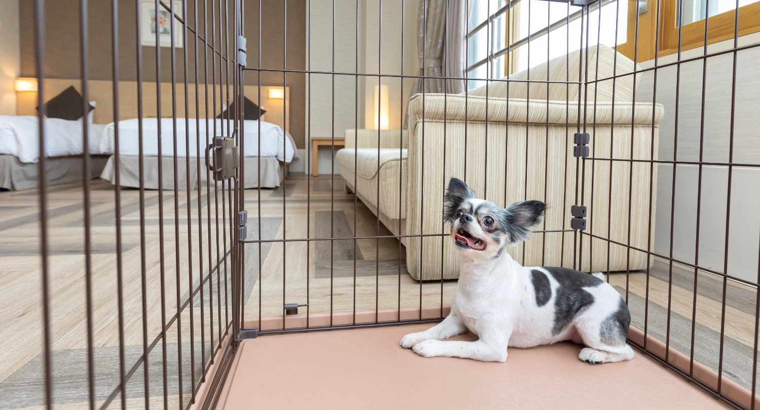 ペット対応ツイン（ソファーベッド付）