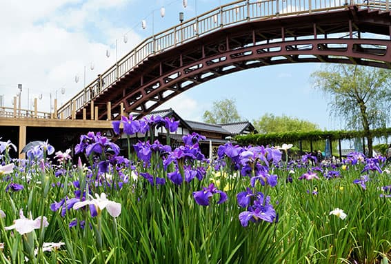 Sightseeing information | Hot springs | [Official]KAMENOI HOTEL ITAKO