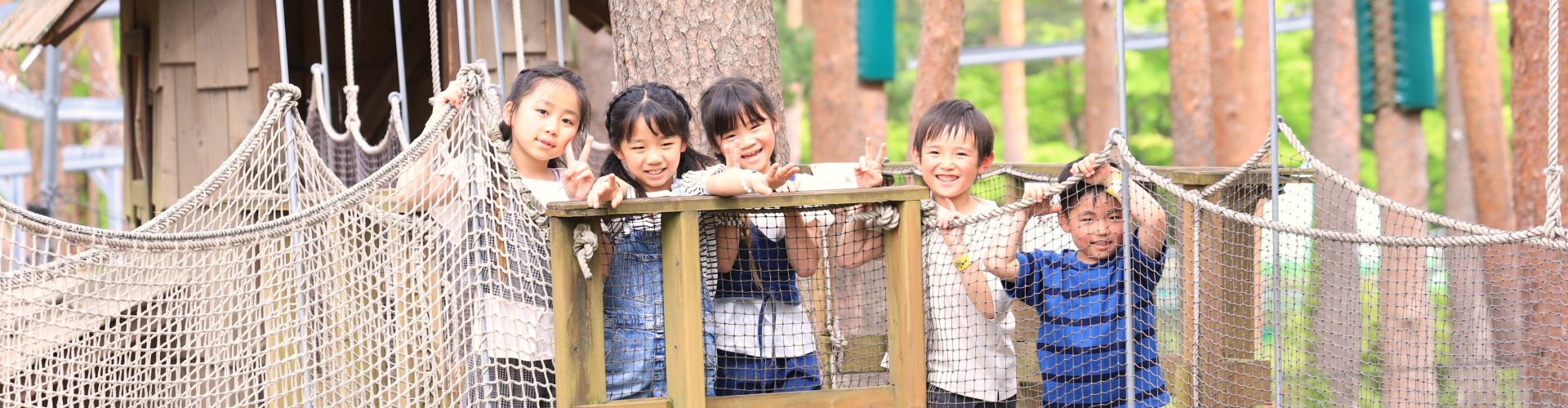 どんぐりコース