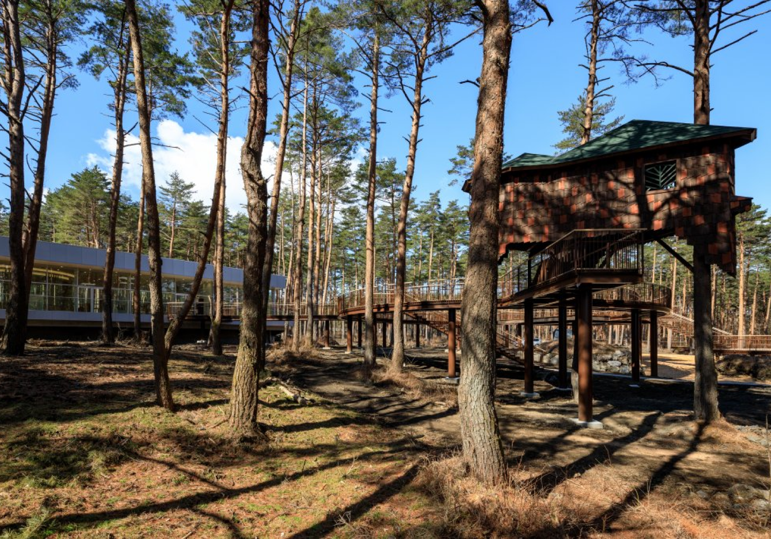 ふじさんのぬく森 キポキポ