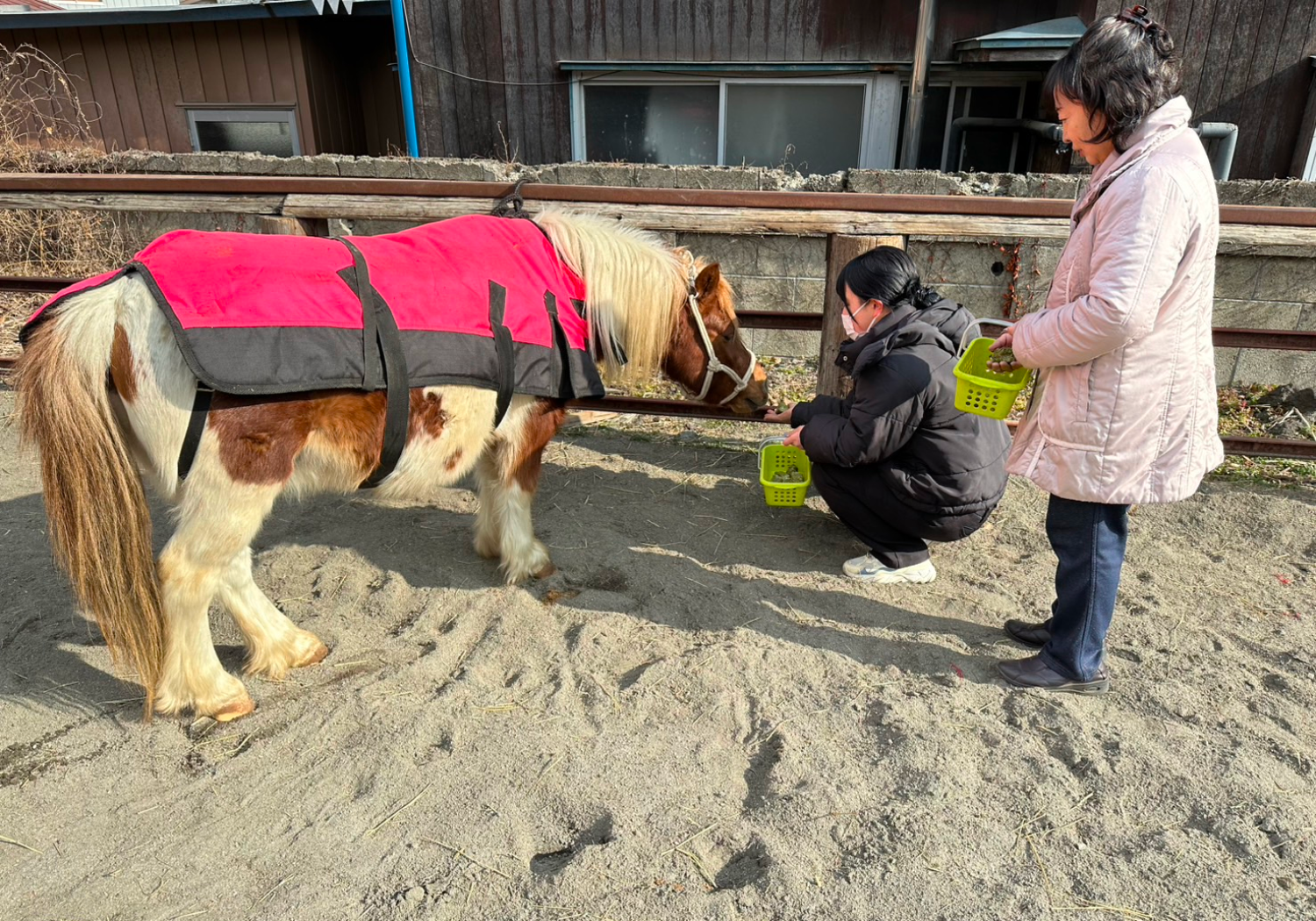 流鏑馬（やぶさめ）体験