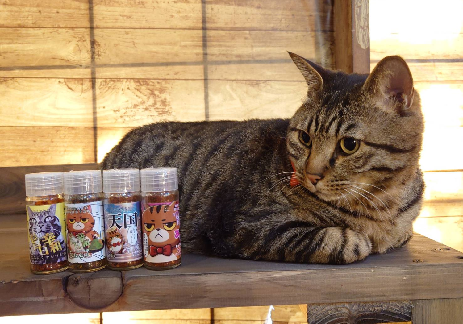 吉田のうどん・マイすりだね作り体験