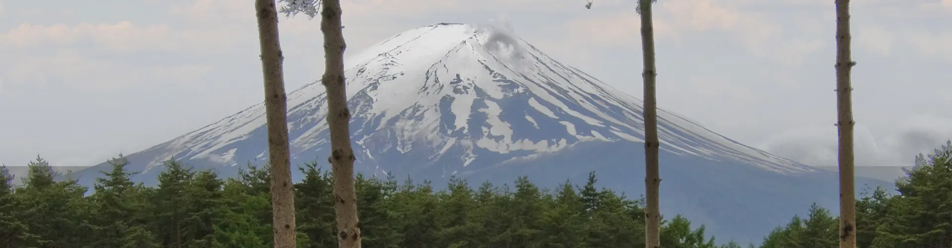 レストラン 朝食