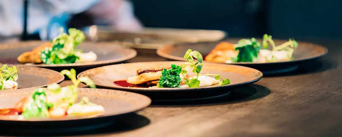 オールインクルーシブ