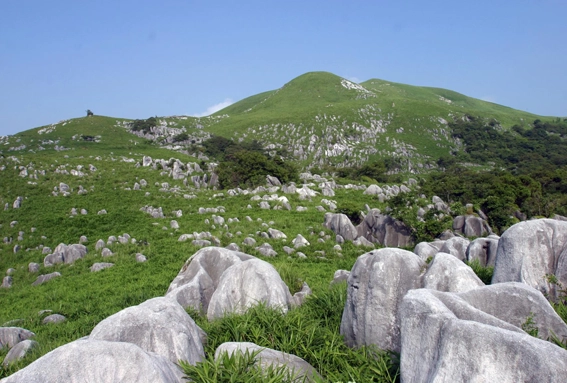 平尾台