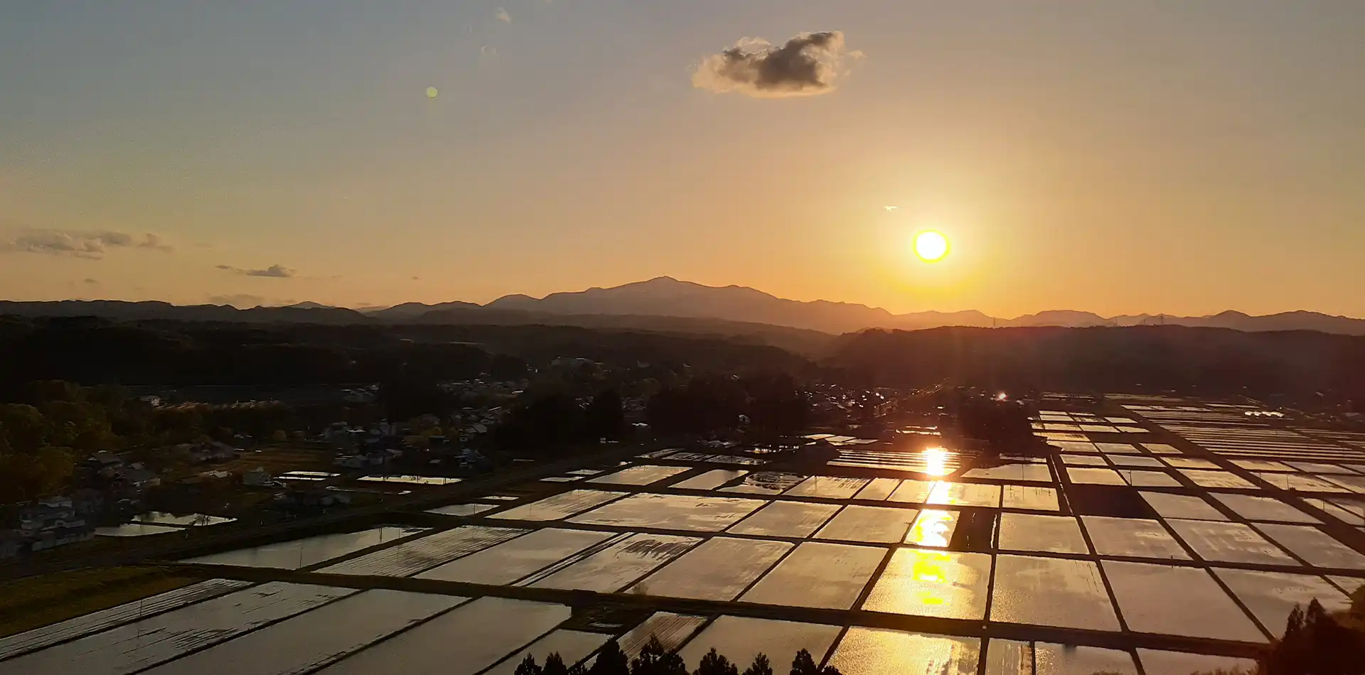 夕焼けの水田