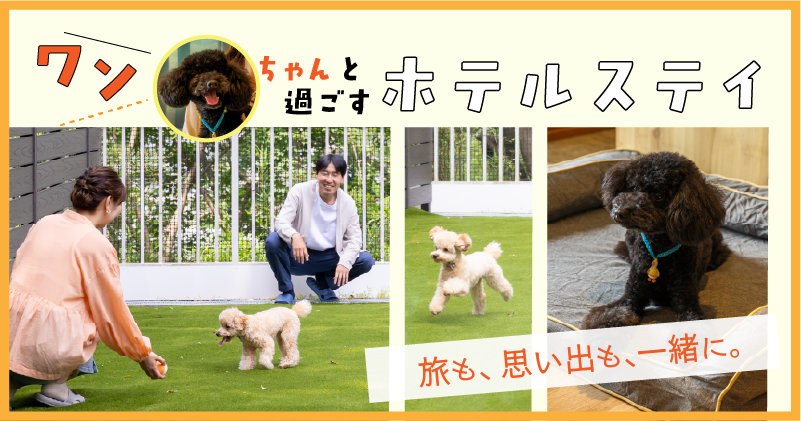 ワンちゃんと過ごすホテルステイ
