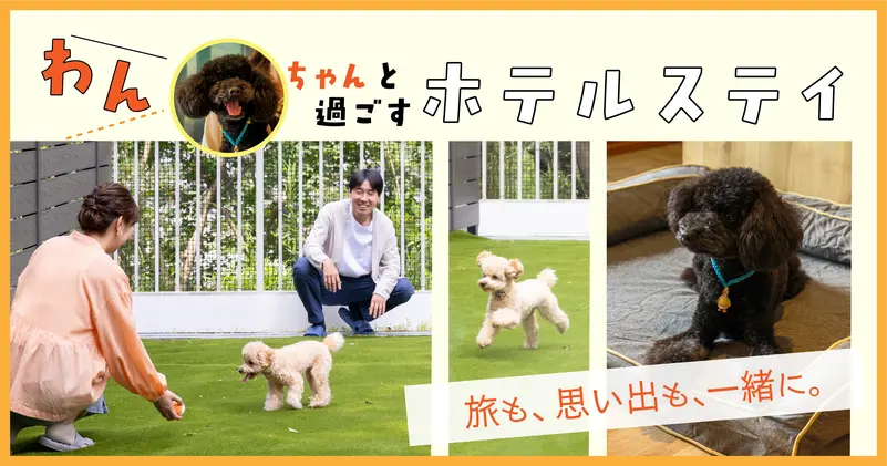 带狗入住酒店