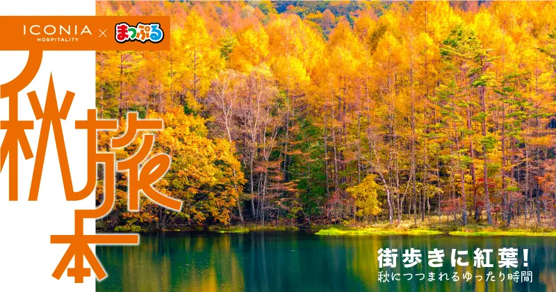 秋旅本