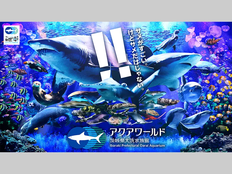 アクアワールド茨城県大洗水族館（入場券付き宿泊プラン）