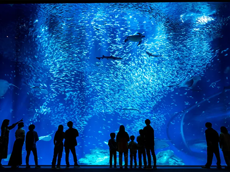 アクアワールド茨城県大洗水族館（入場券付き宿泊プラン）