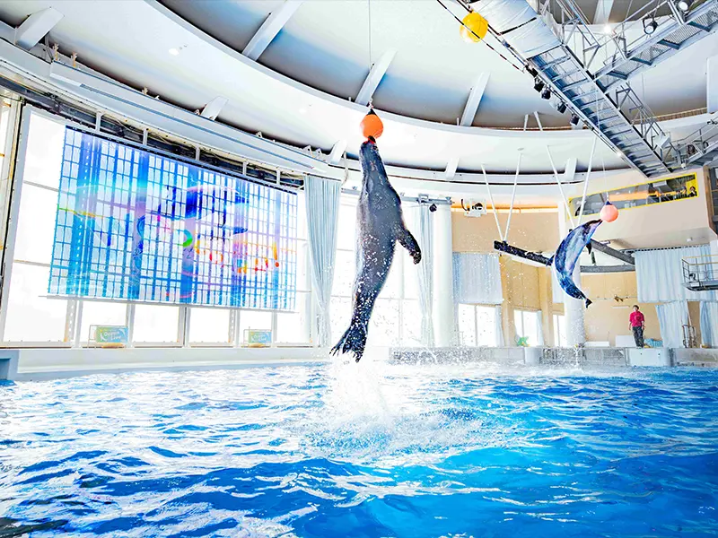 アクアワールド茨城県大洗水族館（入場券付き宿泊プラン）