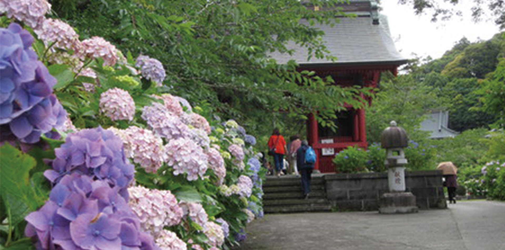 Shiramazu flower garden