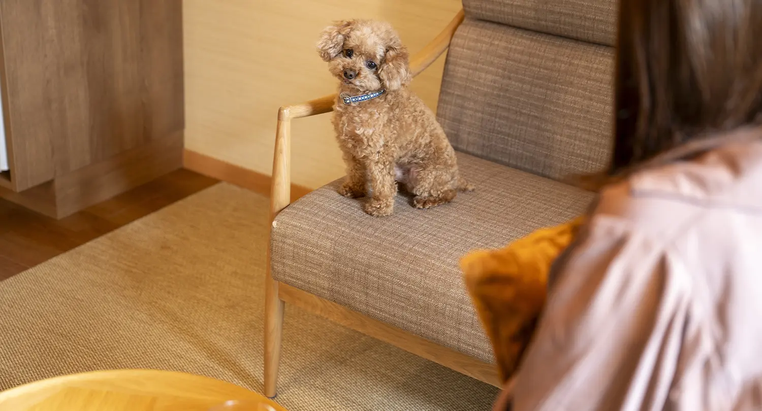 ドッグフレンドリールーム（露天風呂付ツインルーム）