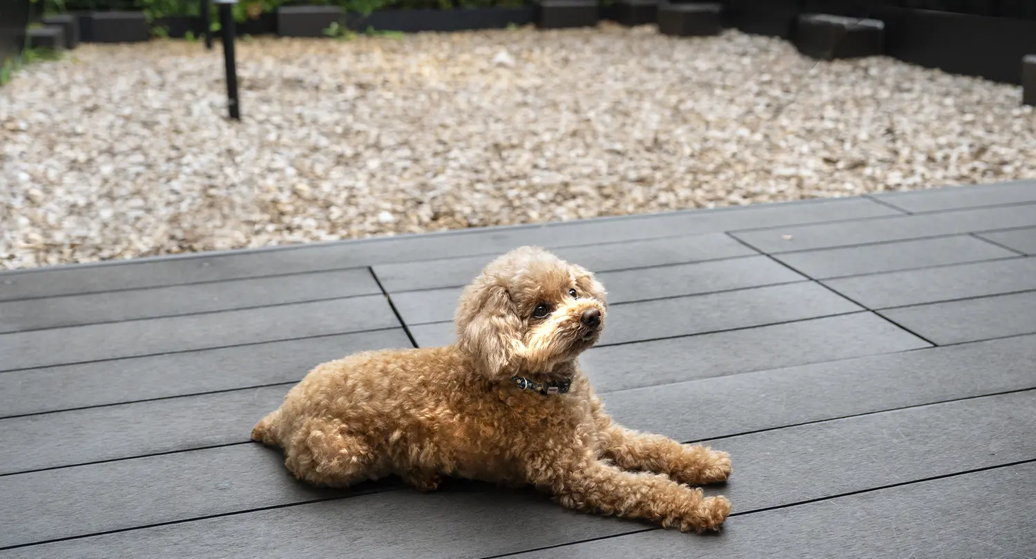 ドッグフレンドリールーム（露天風呂付ツインルーム）