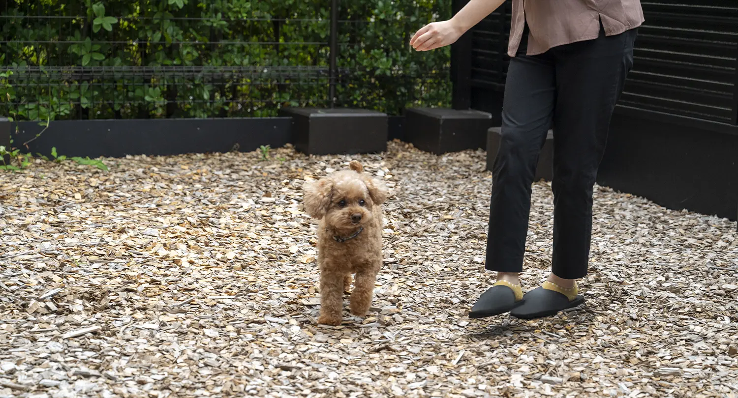 ドッグフレンドリールーム（露天風呂付ツインルーム）