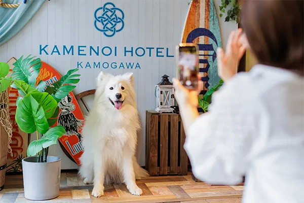 わんちゃん用フォトスポット