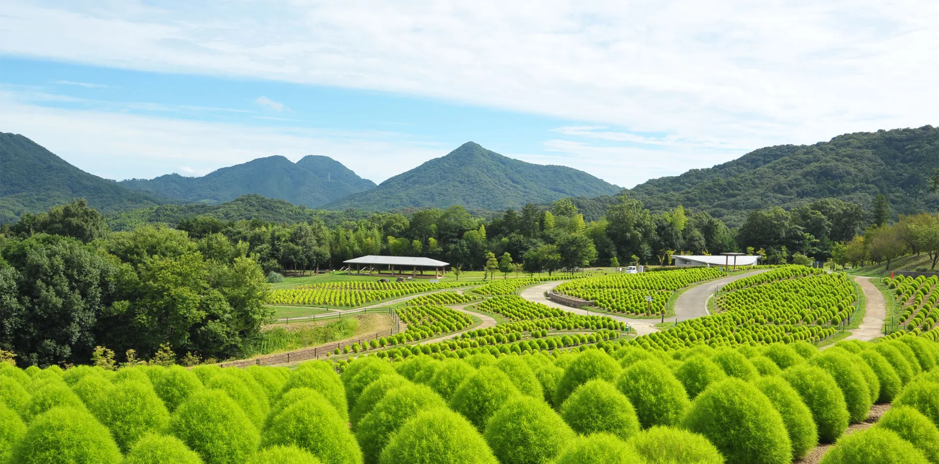 サマーフェスタ 国営讃岐まんのう公園