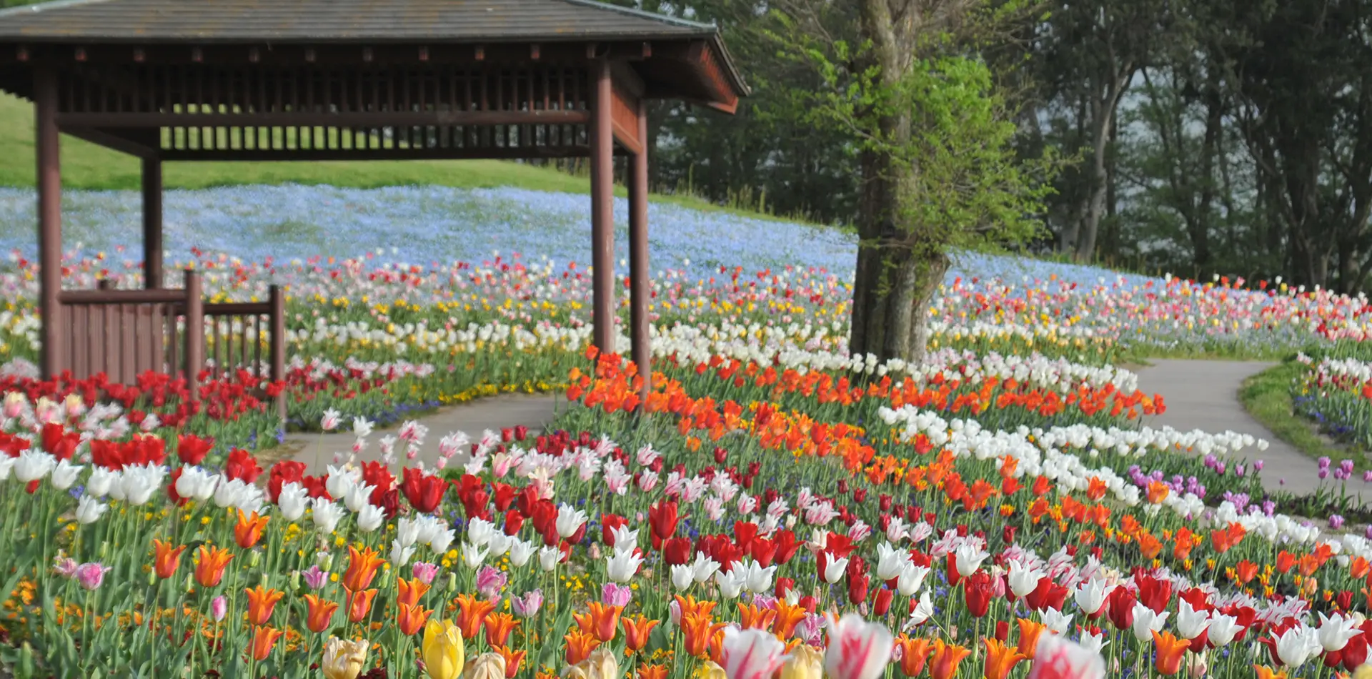 国営讃岐まんのう公園