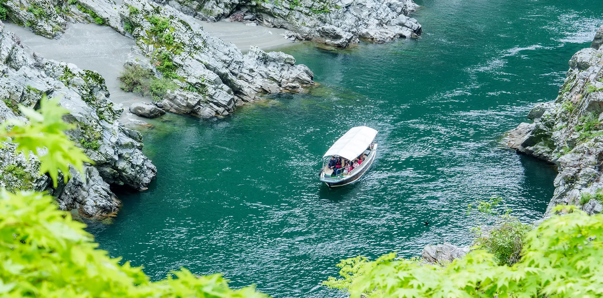 奥博克峡谷郁郁葱葱的绿色