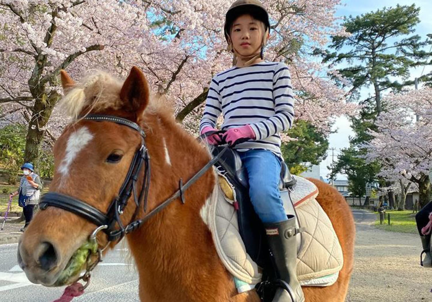 有明浜ホースパークで乗馬体験