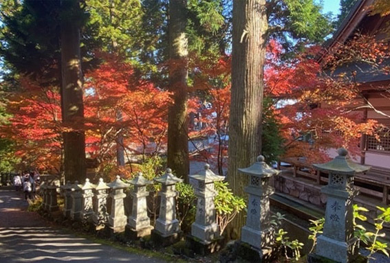 雲辺寺