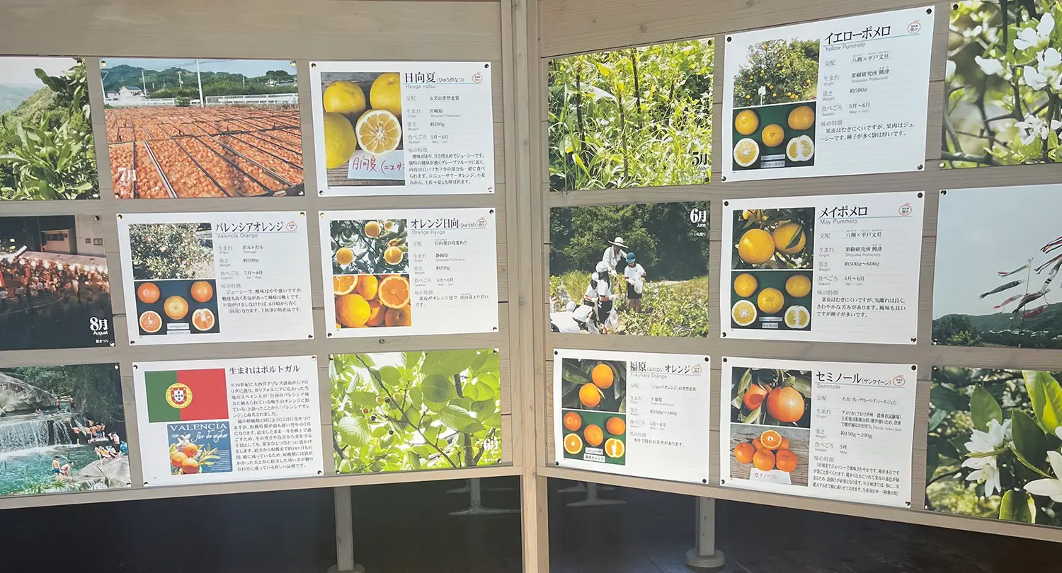 旧校舎の「秋津野ガルテン」でみかんを使った体験